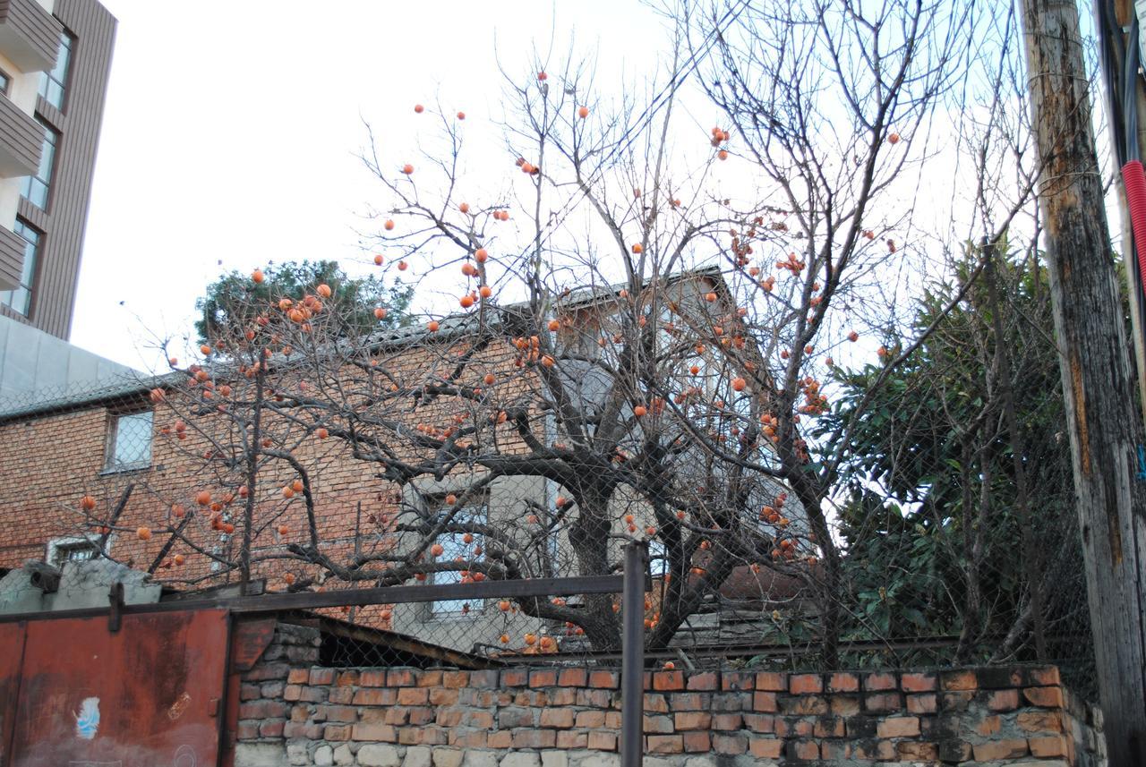 Ferienwohnung Crosswindow Tbilisi Exterior foto